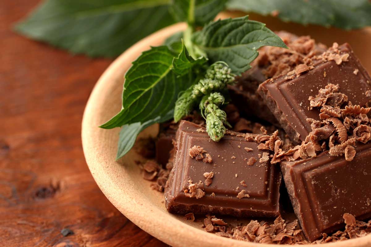 Dark chocolate pieces with mint leaves