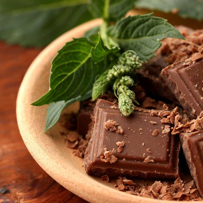 Dark chocolate pieces with mint leaves