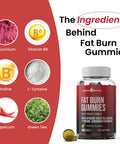 Key ingredients in Fat Burn Gummies