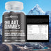 Shilajit Gummies with Ashwagandha - Evolution Slimming